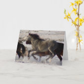 ユタ・オナキ砂漠クリスマスカードの野生の馬 カード (黄色い花)