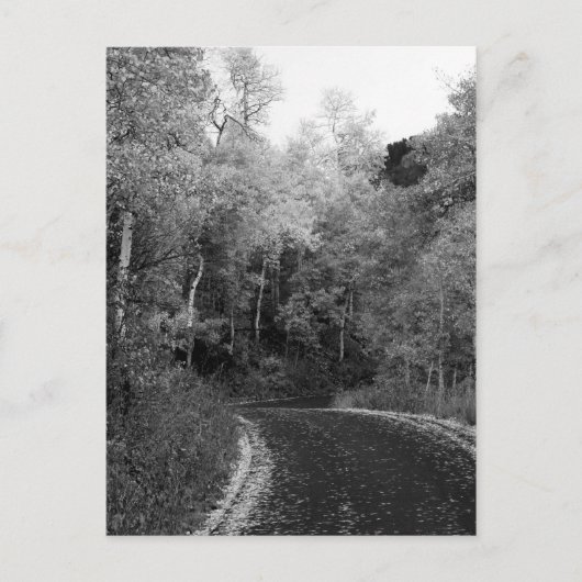 ユタ,サンダンス ポストカード (正面)