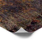 ユタ，山ティンパノゴス ポスター (角)