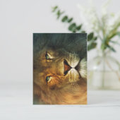 ユダのライオン – ライオン – Rastafari – はがき (スタンド正面)