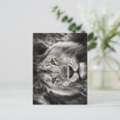 ユダのライオン – ライオン – Rastafari – はがき (スタンド正面)