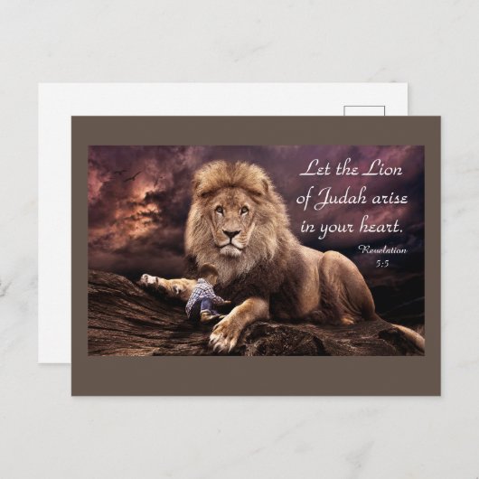 ユダの獅子黙示録5:5はがき ポストカード (正面/裏面)