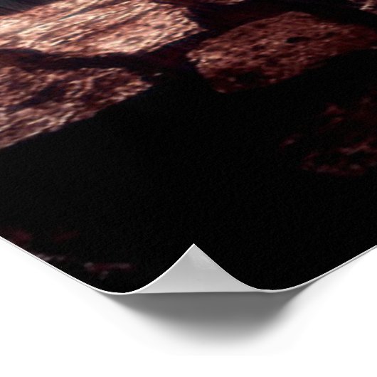 ユダの部族の獅子のポスターを見る ポスター (角)