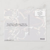 ユダキス詳細バイハンスホルベインザイナーズイン ポストカード (裏面)