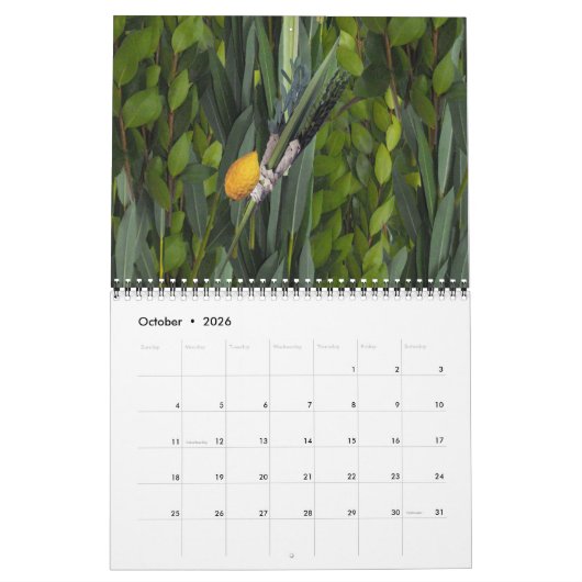 ユダヤ人の生命 カレンダー (10月 2026)