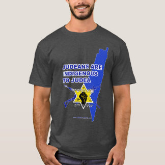 「ユダヤ人はユダヤ固有の人だ」Tシャツ(グレー) Tシャツ