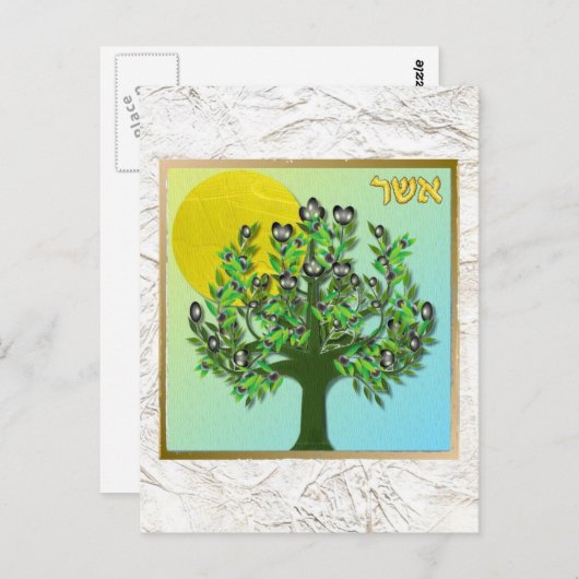 ユダヤ12部族イスラエル・アッシャー ポストカード (正面/裏面)