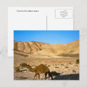 ユダ砂漠のラクダ ポストカード (正面/裏面)