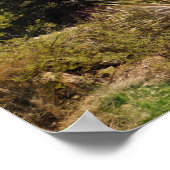 ユッカと山の砂漠歩道 ポスター (角)