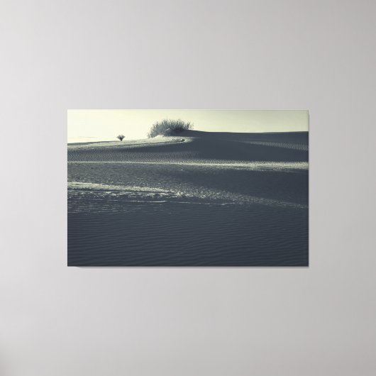 ユッカと砂丘 キャンバスプリント (正面)
