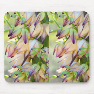 ユッカによってはmousepadが開花します マウスパッド