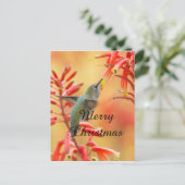 ユッカに囲まれたハミングバード、メリークリスマス シーズンポストカード (スタンド正面)
