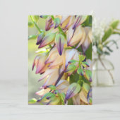 ユッカの花の招待状 招待状 (スタンド正面)