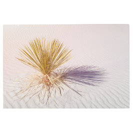 ユッカアットホワイトサンズ メタルプリント