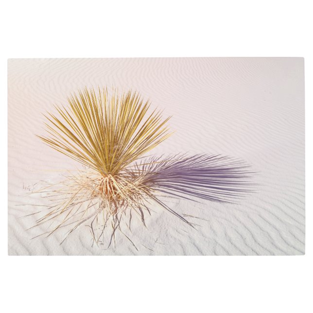 ユッカアットホワイトサンズ メタルプリント (正面)