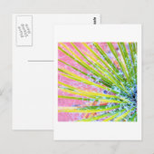 ユッカサイケデリック ポストカード (正面/裏面)