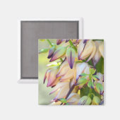 ユッカフラワーズ磁石 マグネット (正面/裏面)