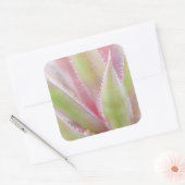 ユッカ工場のクローズアップ スクエアシール (封筒)