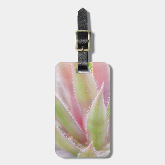 ユッカ工場の閉鎖 ラゲッジタグ (正面縦)