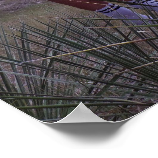 ユッカ植物中で ポスター (角)