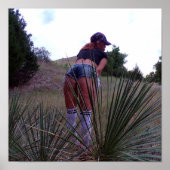 ユッカ植物中で ポスター (正面)