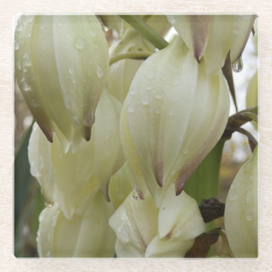 ユッカ植物 ガラスコースター (正面)