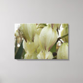 ユッカ植物 キャンバスプリント (正面)