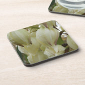 ユッカ植物 コースター (左側)