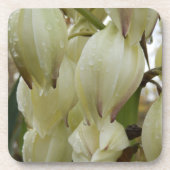 ユッカ植物 コースター (正面)