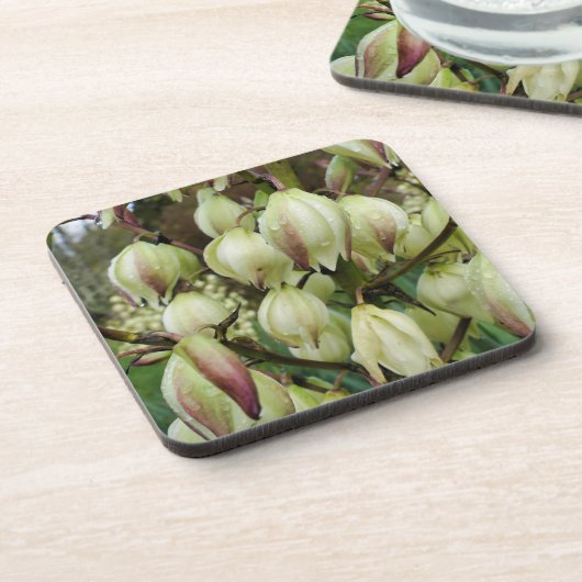 ユッカ植物 コースター (左側)