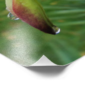 ユッカ植物 フォトプリント            (角)