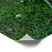 ユッカ植物 ポスター (角)