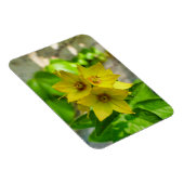 ユッカ植物 マグネット (右側)