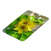 ユッカ植物 マグネット (左側)