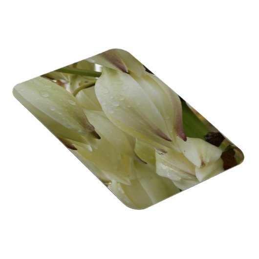 ユッカ植物 マグネット (右側)