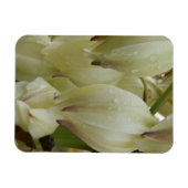 ユッカ植物 マグネット (横)