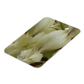 ユッカ植物 マグネット (左側)