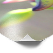 ユッカ花花写真プリント フォトプリント            (角)