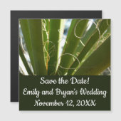 ユッカ葉グリーン自然写真 (正面/裏面)