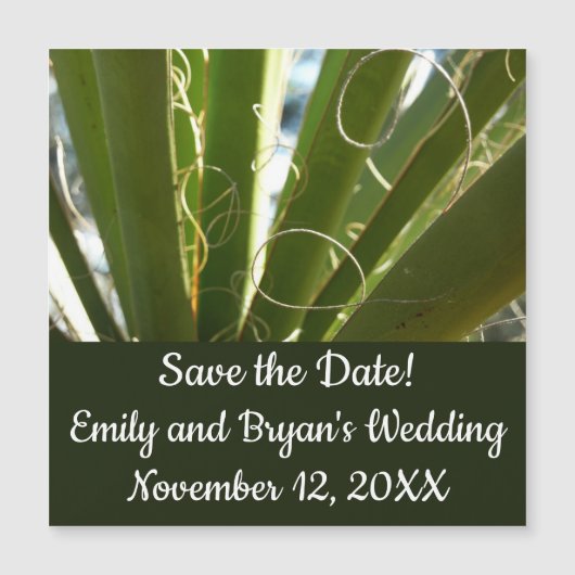 ユッカ葉グリーン自然写真 (正面)