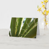 ユッカ葉グリーン自然写真 カード (黄色い花)