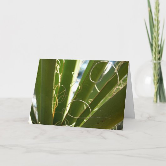 ユッカ葉グリーン自然写真 カード (正面)