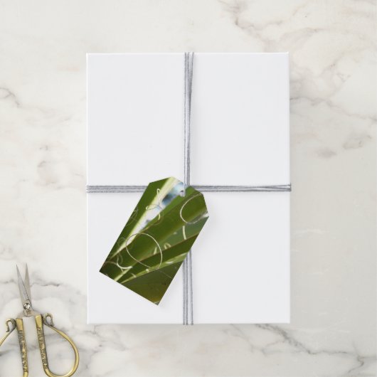 ユッカ葉グリーン自然写真 ギフトタグ (より糸付き)