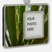 ユッカ葉グリーン自然写真 シルバープレートフレームオーナメント (右)