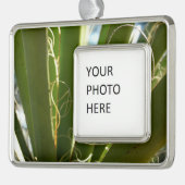 ユッカ葉グリーン自然写真 シルバープレートフレームオーナメント (左)