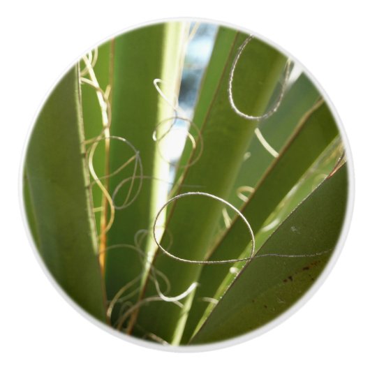 ユッカ葉グリーン自然写真 セラミックノブ (正面)