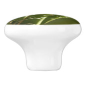 ユッカ葉グリーン自然写真 セラミックノブ (側面)