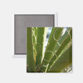 ユッカ葉グリーン自然写真 マグネット (正面/裏面)