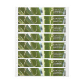 ユッカ葉グリーン自然写真 ラップアラウンドラベル (シート)