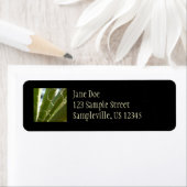 ユッカ葉グリーン自然写真 ラベル (インサイチュ)